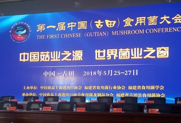 公司派员参加了第一届中国（古田）食用菌大会